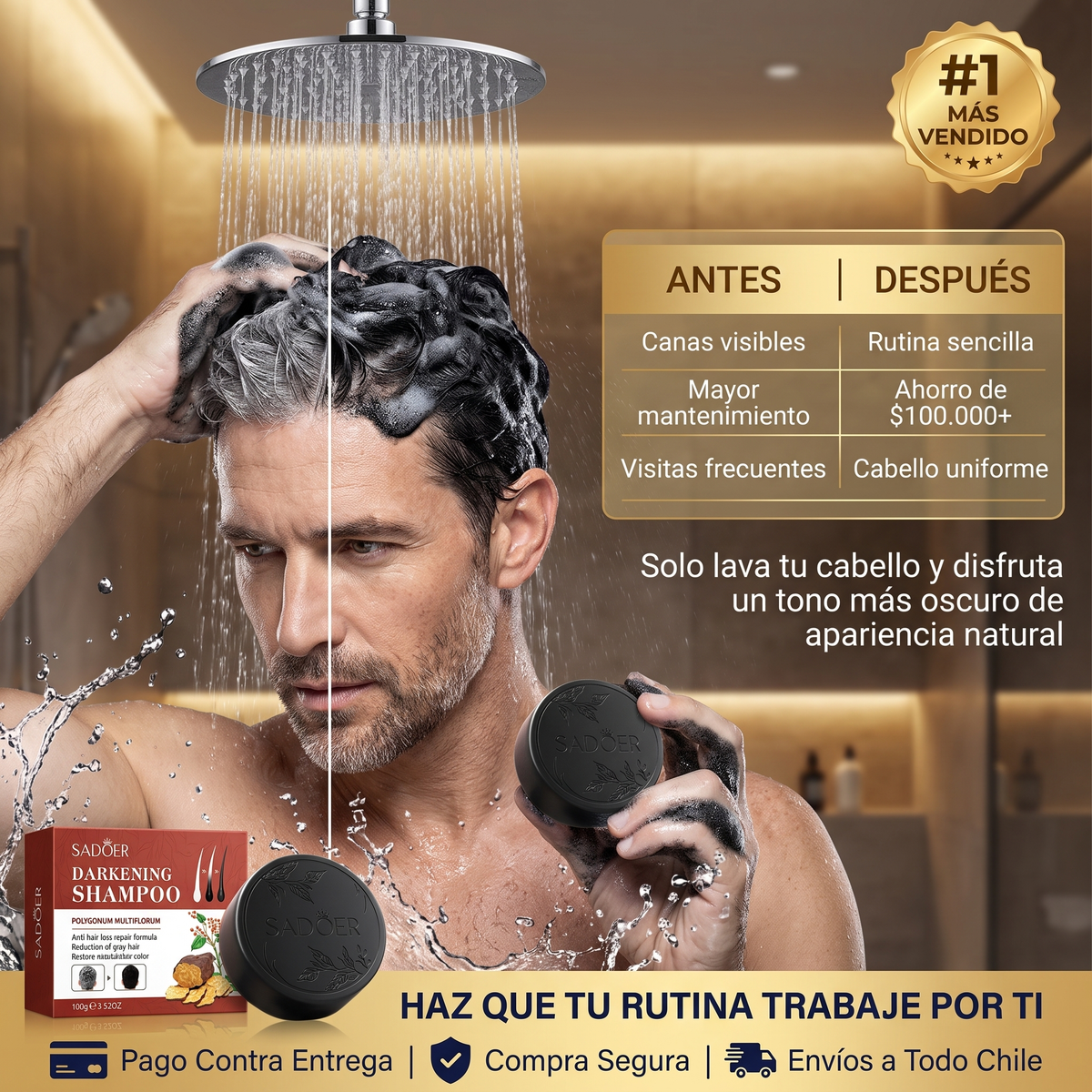 CARBON BLACK - SHAMPOO NEGRO ANTI-CANAS