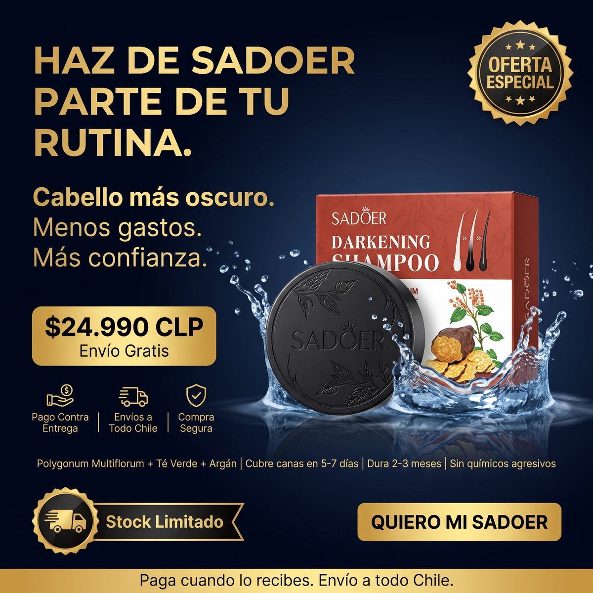 CARBON BLACK - SHAMPOO NEGRO ANTI-CANAS