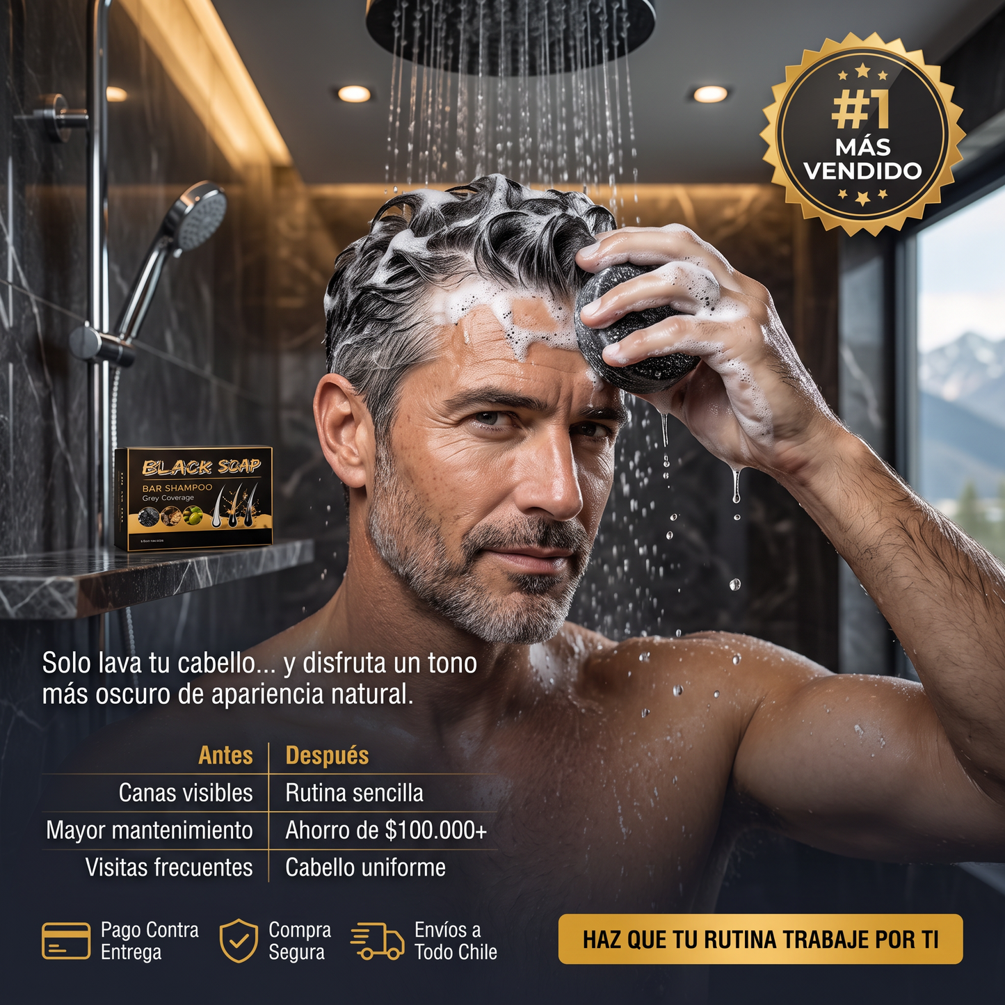 CARBON BLACK - SHAMPOO NEGRO ANTI-CANAS